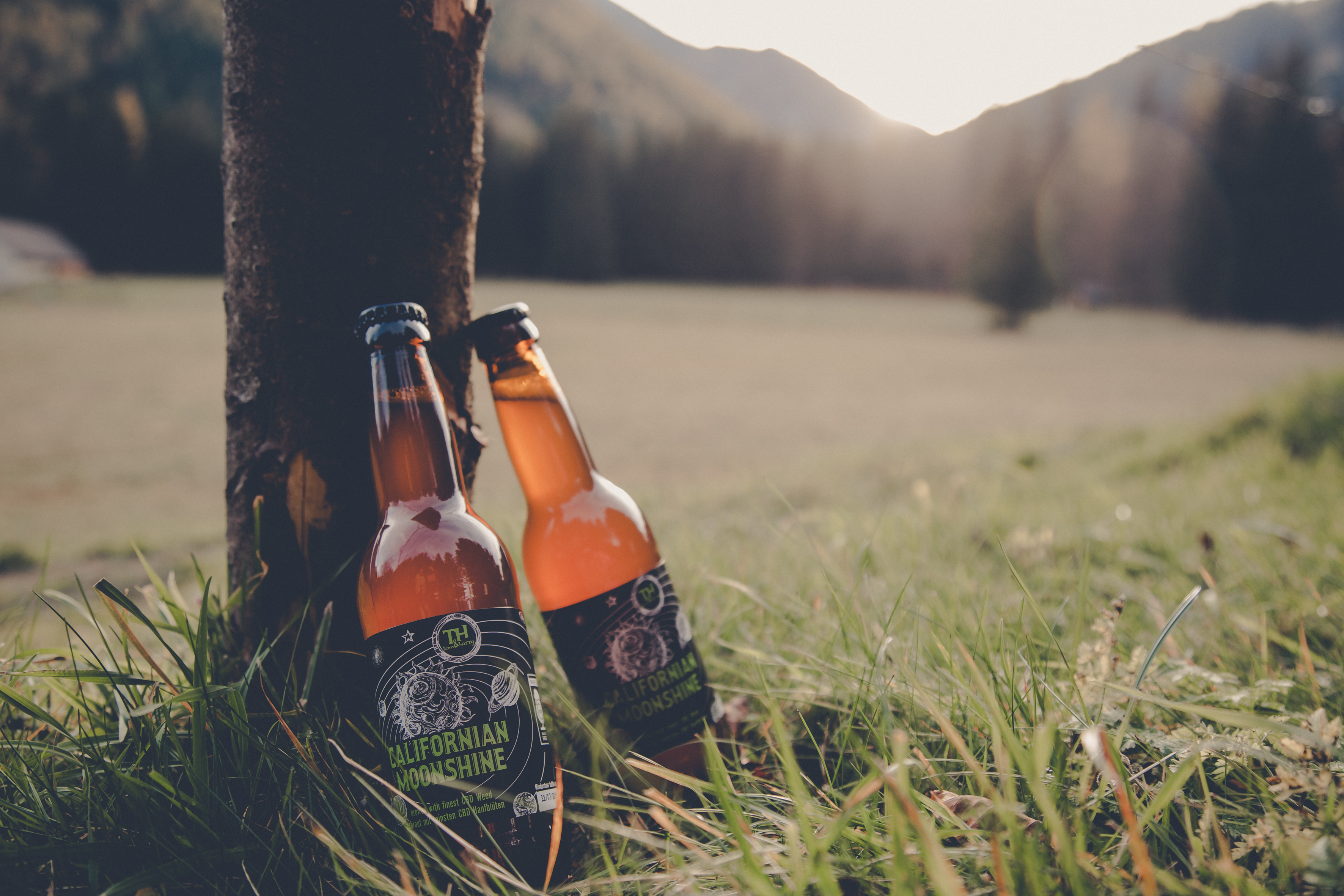 Tom & Harry Brewing CBD Hanfbier